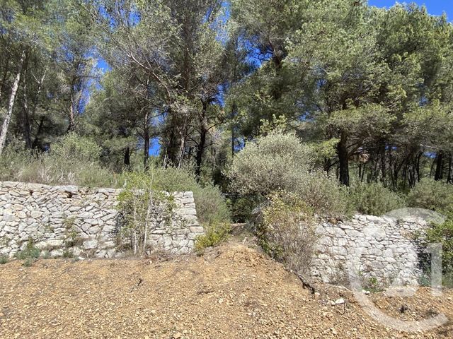 Afficher la photo en grand terrain à vendre - 2700.0 m2 - CUGES LES PINS - 13 - PROVENCE-ALPES-COTE-D-AZUR - Century 21 Agence Beaumond