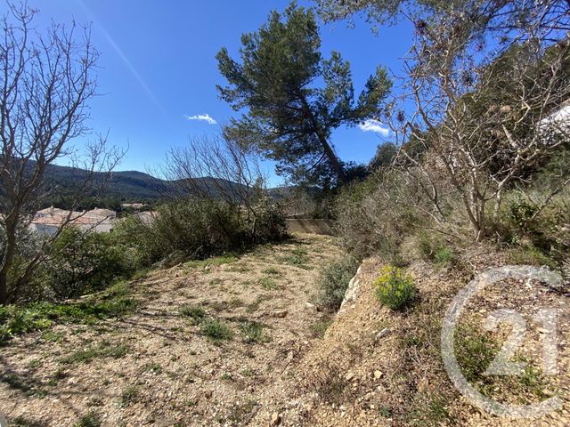 terrain à vendre - 2700.0 m2 - CUGES LES PINS - 13 - PROVENCE-ALPES-COTE-D-AZUR - Century 21 Agence Beaumond